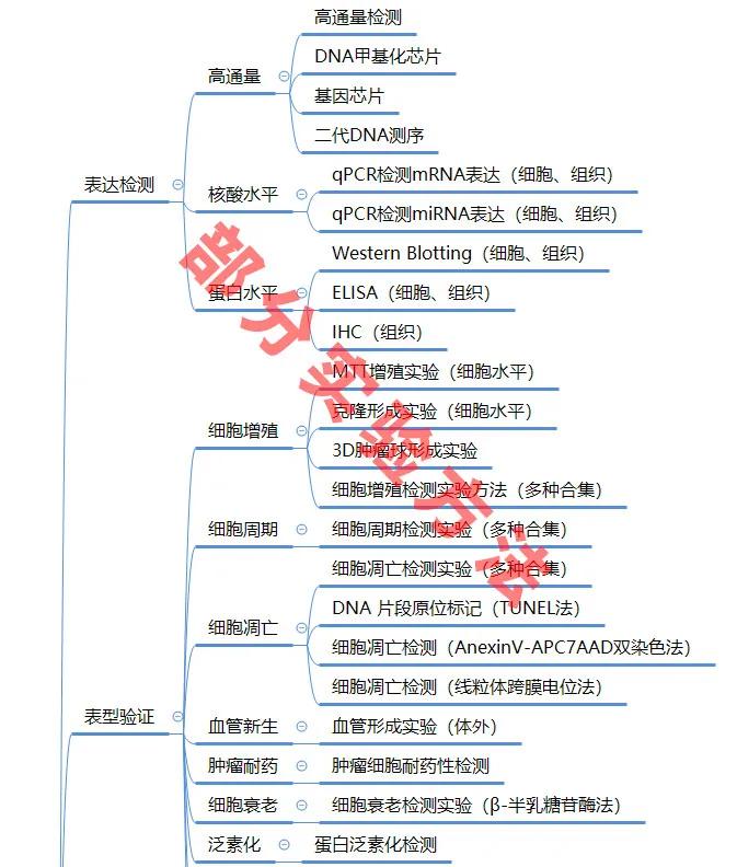 2021年国自然写作工具包出炉，限时免费领取