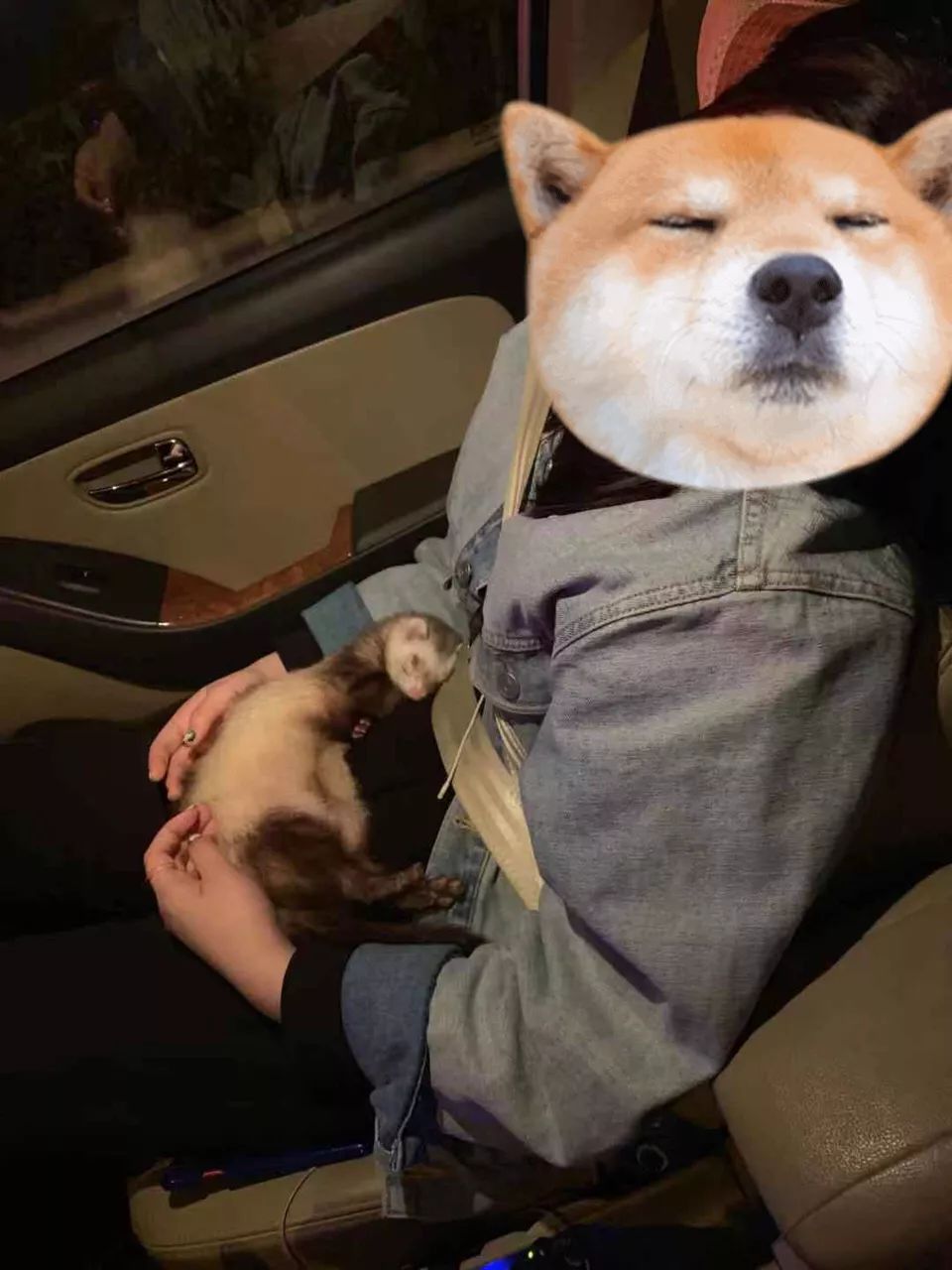 一只鸭子一万五元,一只鸭子一万多