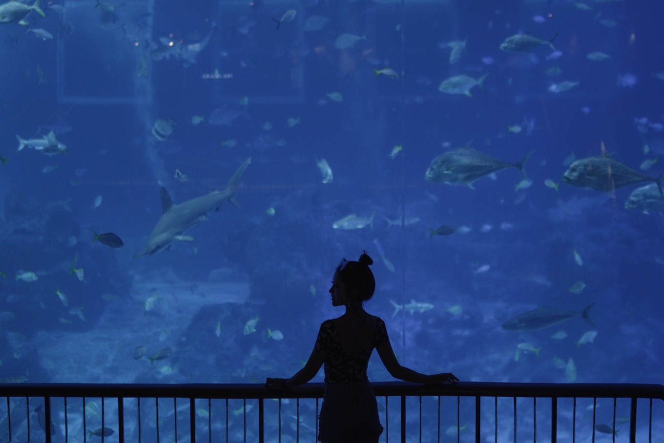 圣淘沙名胜世界攻略,请收下这份旅游攻略