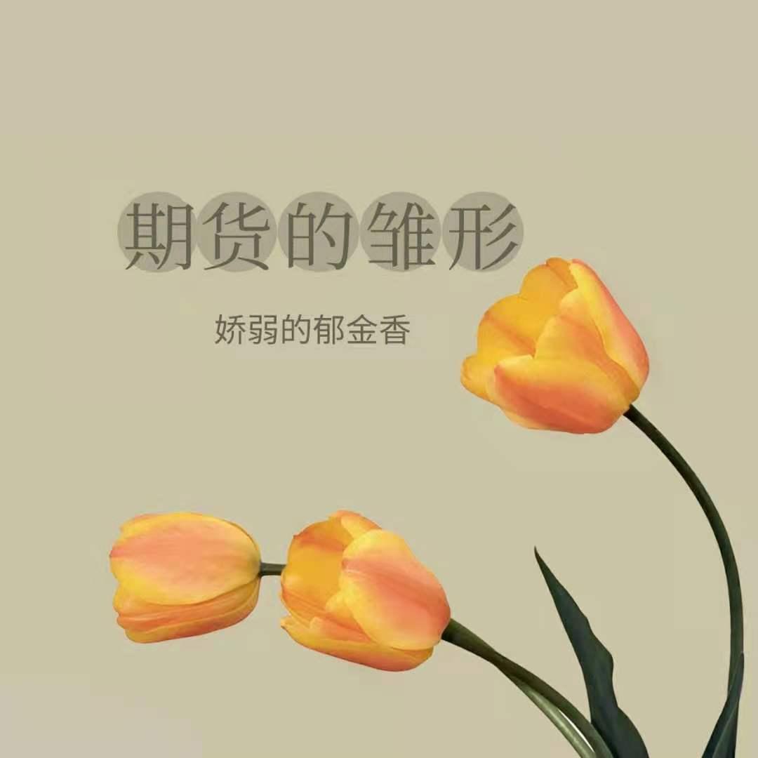 期货小白实战,期货小白课