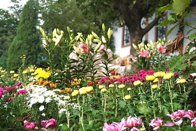 大连重阳节旅游攻略,大连九月秋游攻略