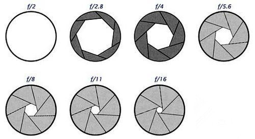 学摄影入门教程从零开始学摄影,摄影新手入门从零开始学摄影