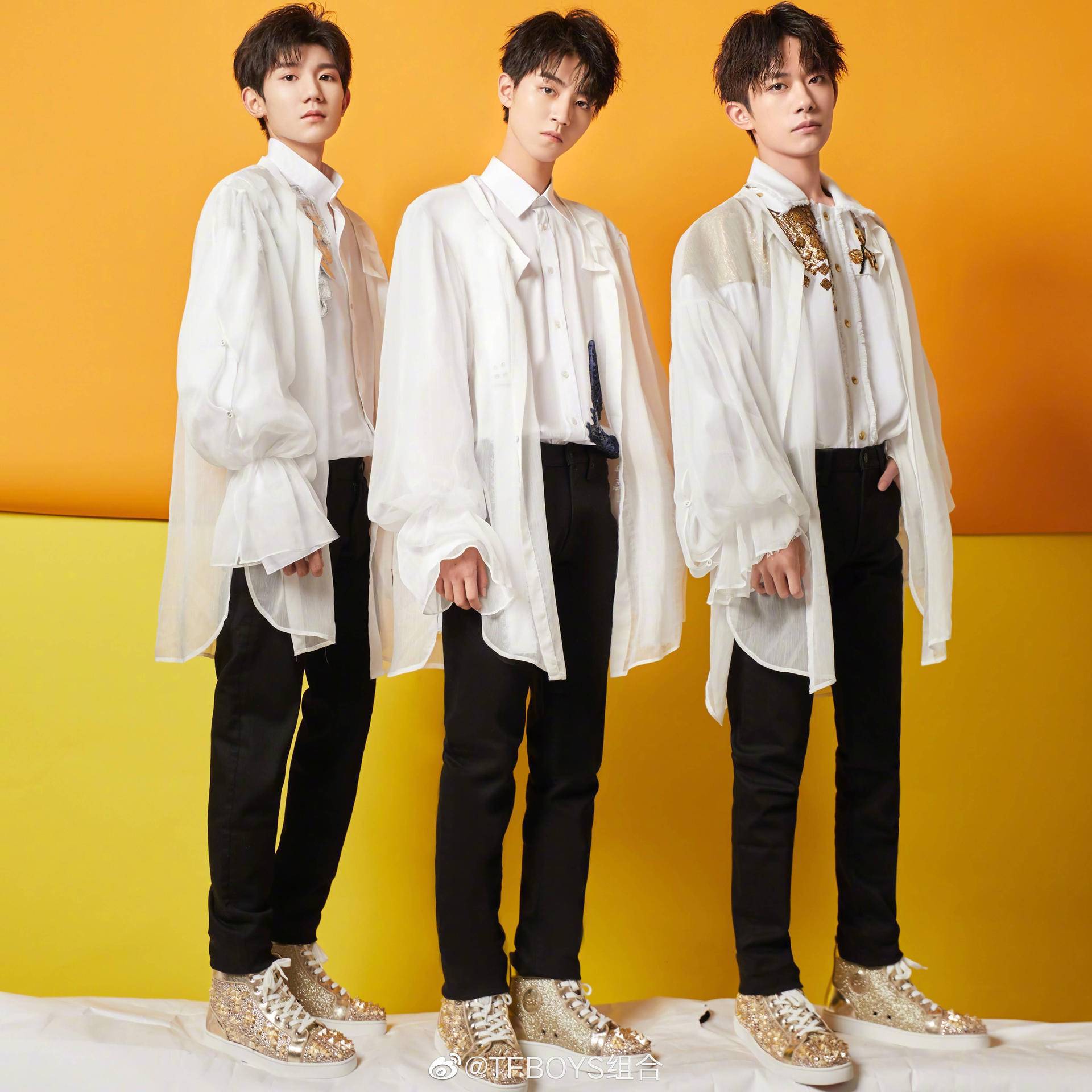 tfboys演唱会灯牌王俊凯,王俊凯19年演唱会蓝色灯牌