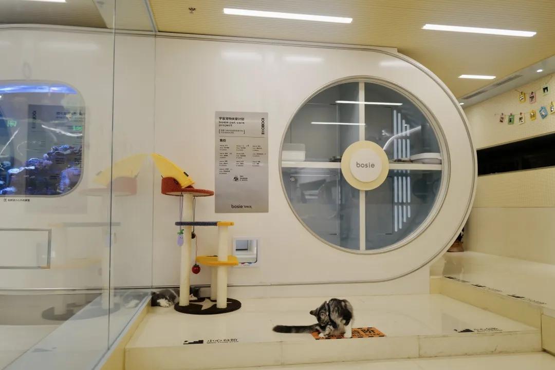 别争了,这条马路才是魔都内卷之王