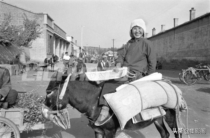 榆林市镇川镇老照片 (榆林市卫校老照片)