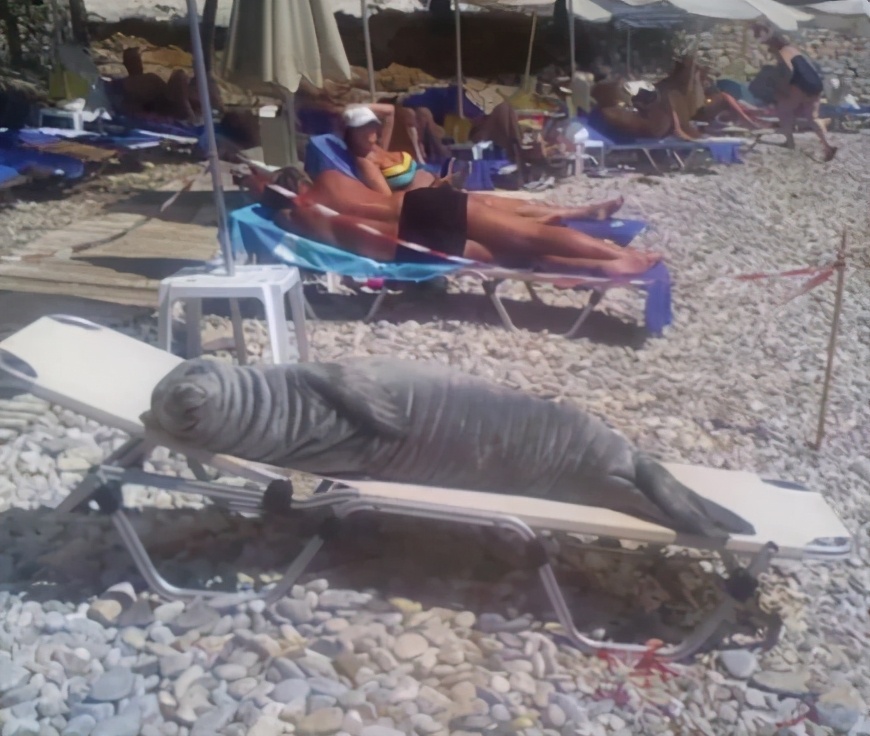 搞笑gif趣图兄弟们来跟我一起摇摆,大哥搞笑动图gif