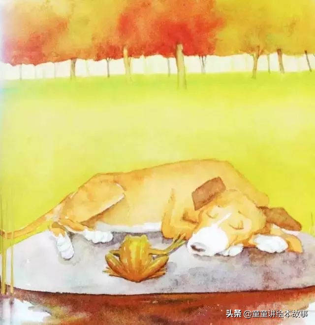 绘本故事有声小熊进城,绘本故事大城市里的小象