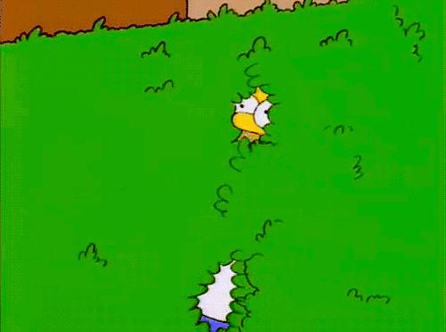 杠精球迷,佛系球迷