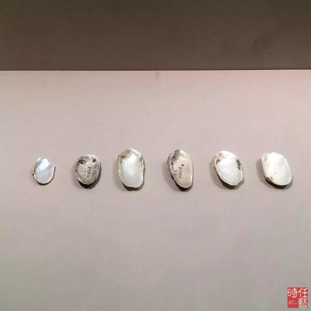 博物馆的主题展览,被名字耽误的博物馆