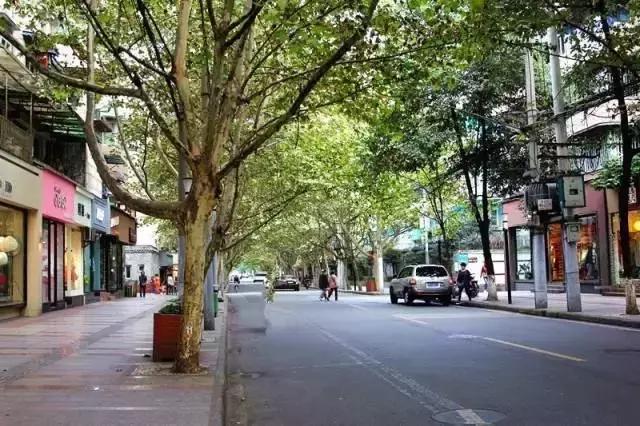 成都的干净程度,成都的街道名为什么好听