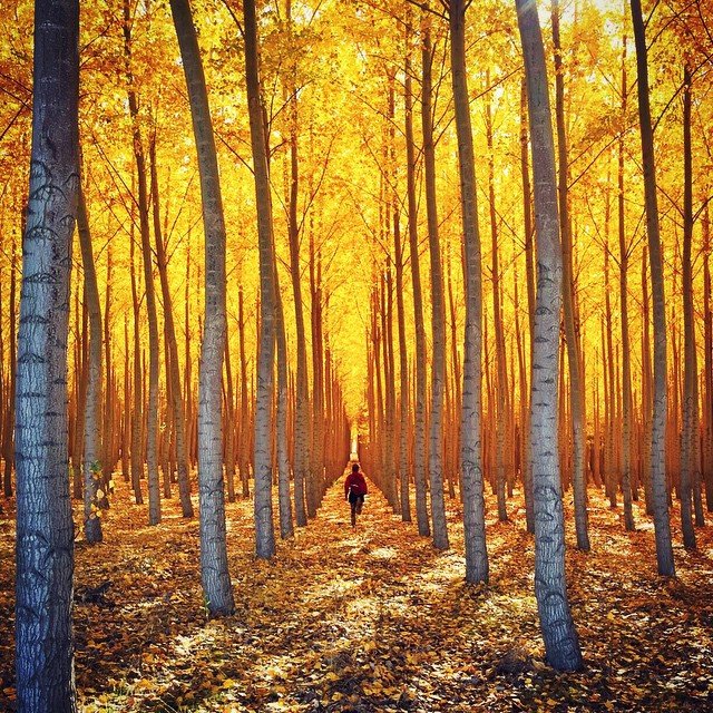 CommonInformalContractions常用非正式缩写知道的人真不多！