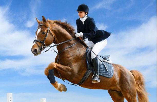 跟马赛跑不如找一匹马,与马赛跑不如骑着马跑