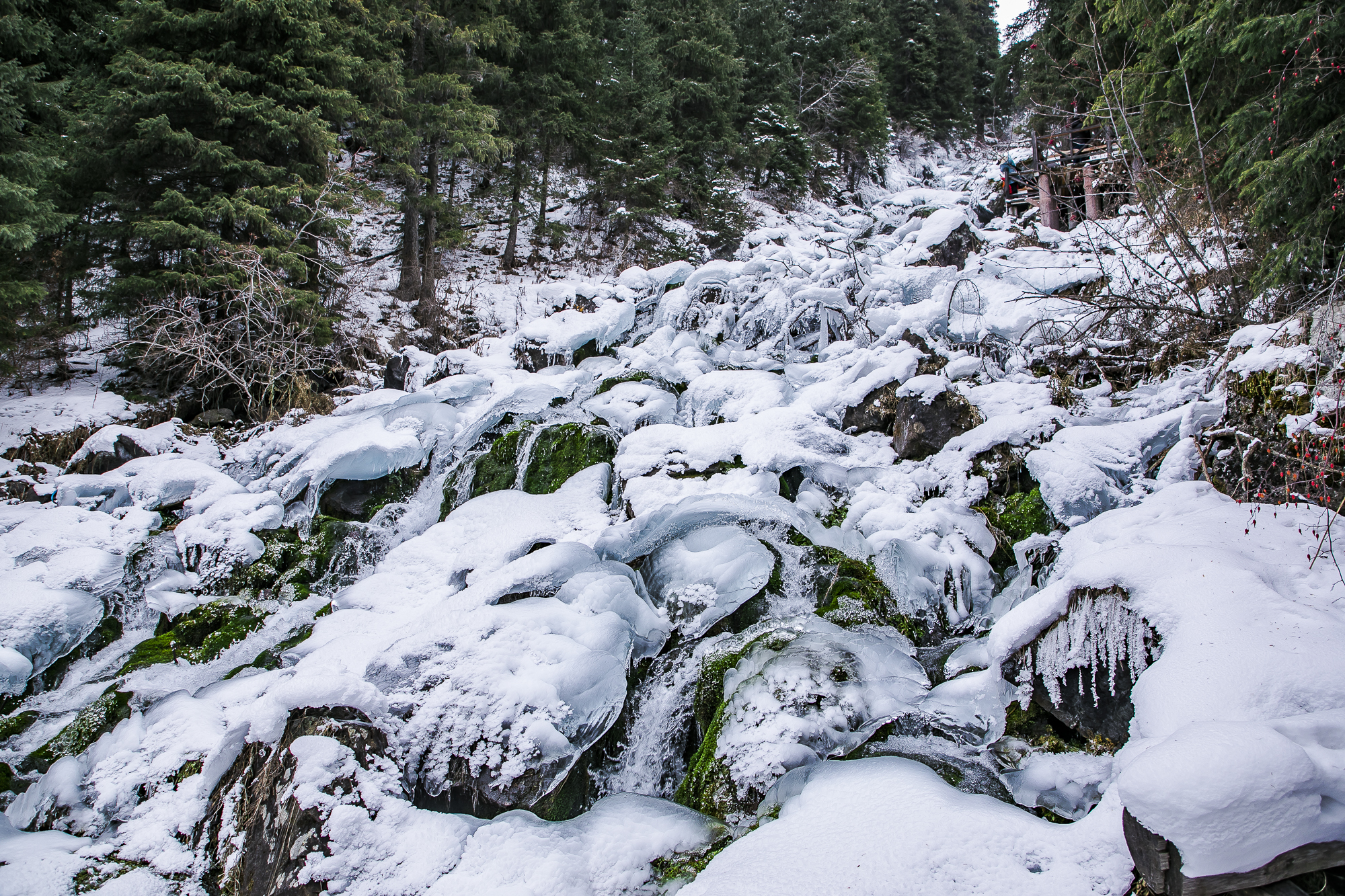 大美新疆博格达峰美景,天山天池博格达峰全景图片