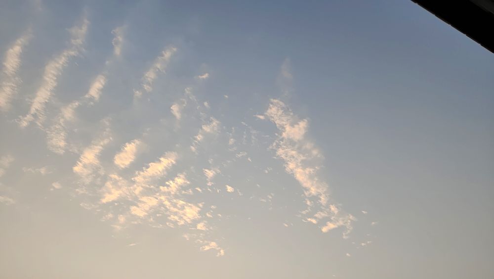 日本vs哥斯达黎加,日本vs巴西卡塔尔