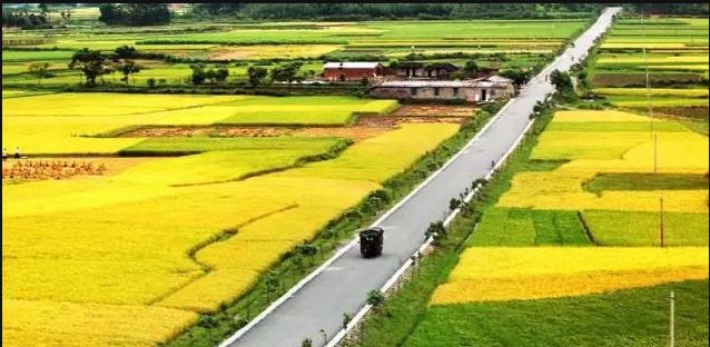 流变：农村电商2014——2017