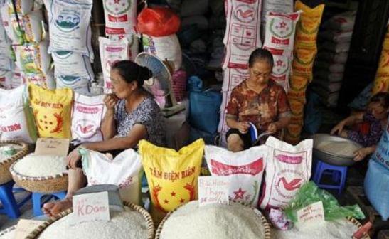 娉板浗杩涘彛涓浗澶х背,娉板浗澶х背鍑哄彛浠锋牸涓婃定