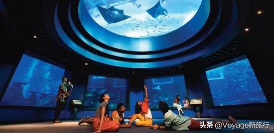 周游记新加坡餐厅,新加坡周游记有多香