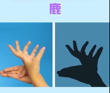 宝宝睡前玩的手影游戏,儿童手脑协调游戏