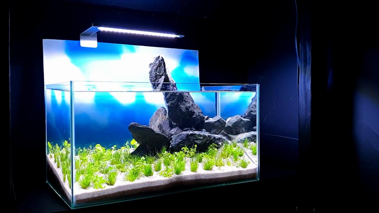 石头观赏鱼缸建造图,4块石头造景20缸