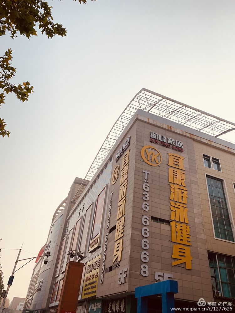 涧西牡丹广场老照片,洛阳牡丹手机拍照