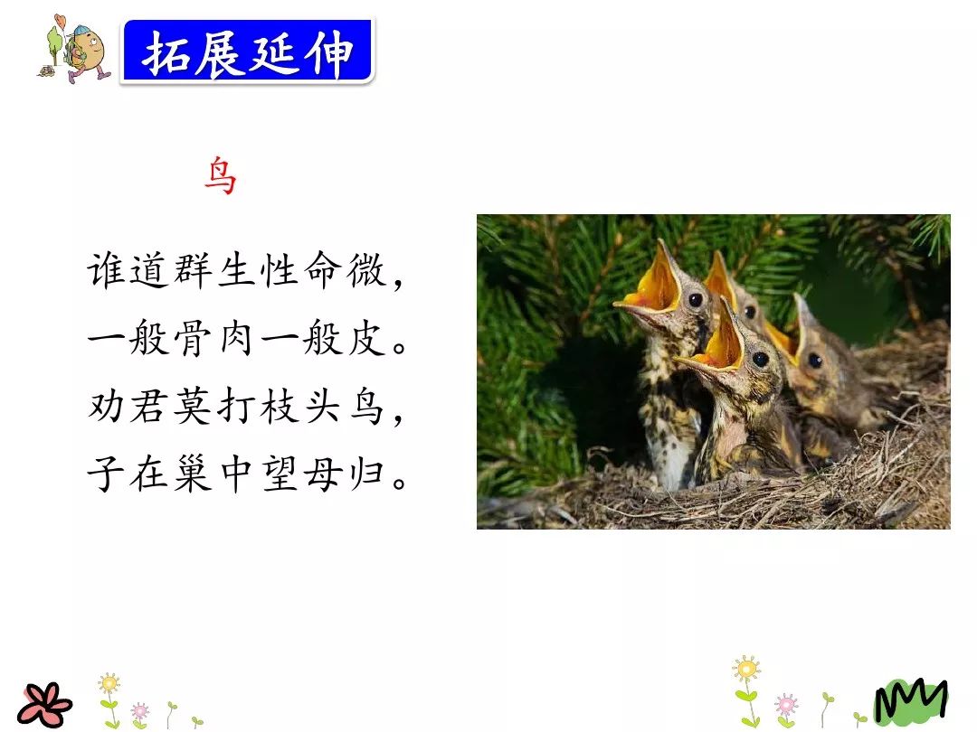 部编三年级语文上第26课灰雀,部编三年级语文上册26课灰雀练习