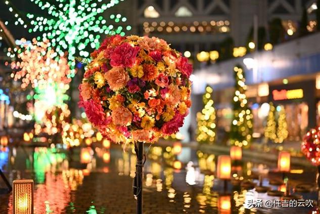 尼康50-1.8镜头测评,尼康z镜头501.8和851.8对焦速度