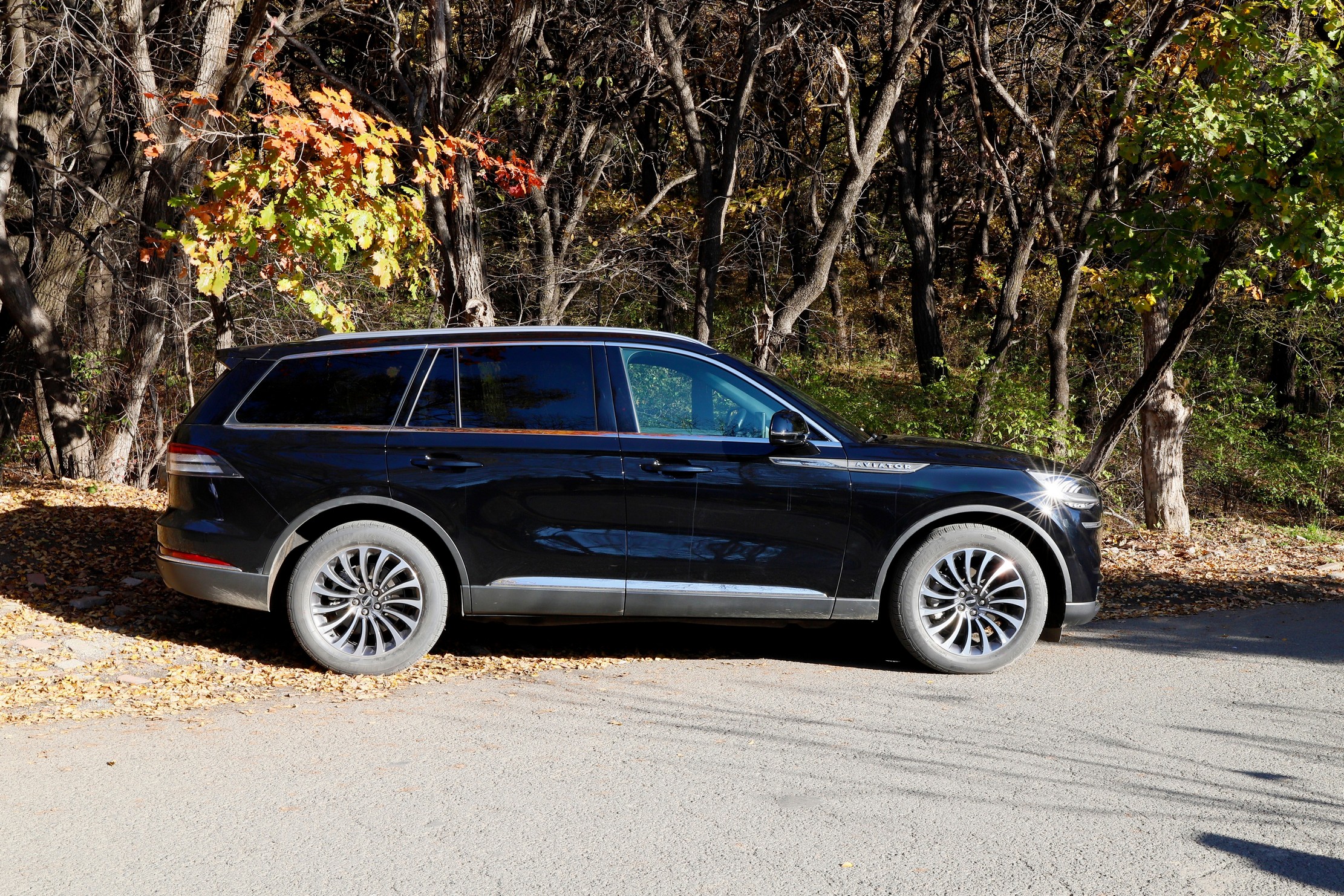 当不了战斗机就当教练机,当不了飞行员可以当什么