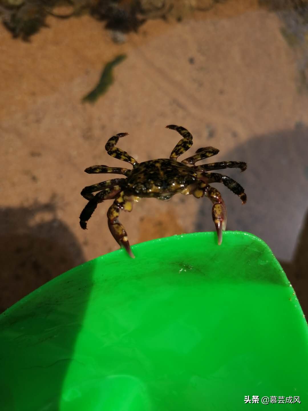 自由行去枸杞岛,枸杞岛自由行