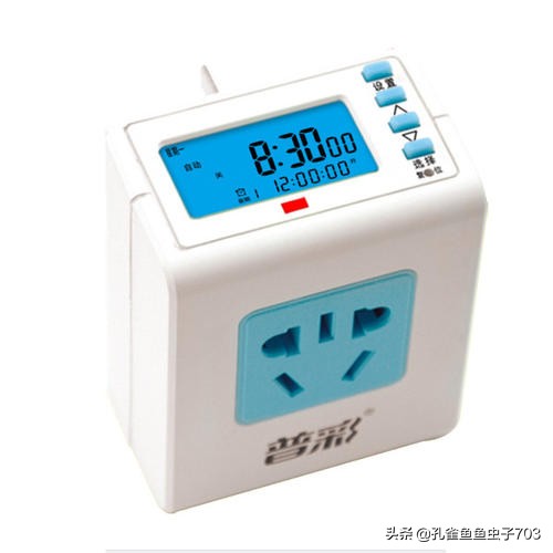 一周不在家孔雀鱼怎么办呢,假期不在家孔雀鱼会不会死