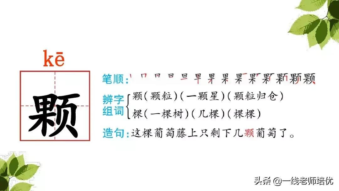 带刺的朋友三年级上册,三年级语文带刺的朋友课文知识点