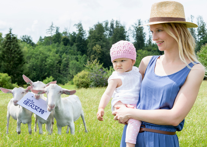 羊乳蛋白奶粉,无糖奶粉推荐婴儿羊奶