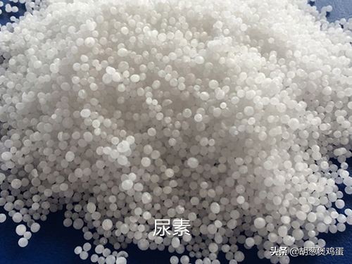 稻虾田肥水用什么肥料,虾田肥水最简单方法