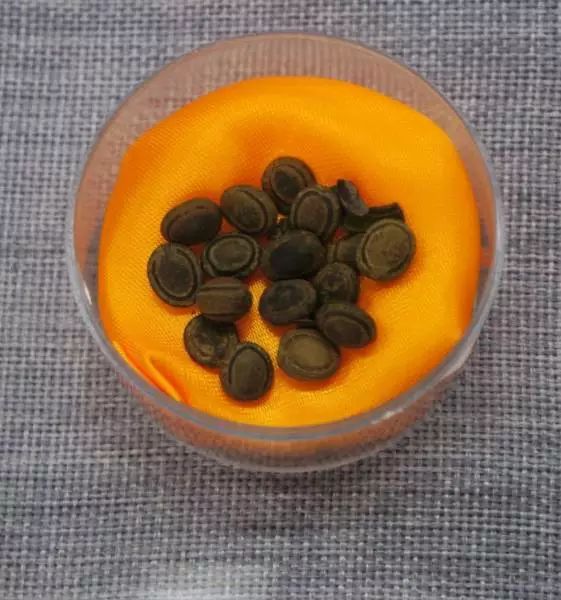 痰是百病之源怎么调理好,食疗治痰的好偏方