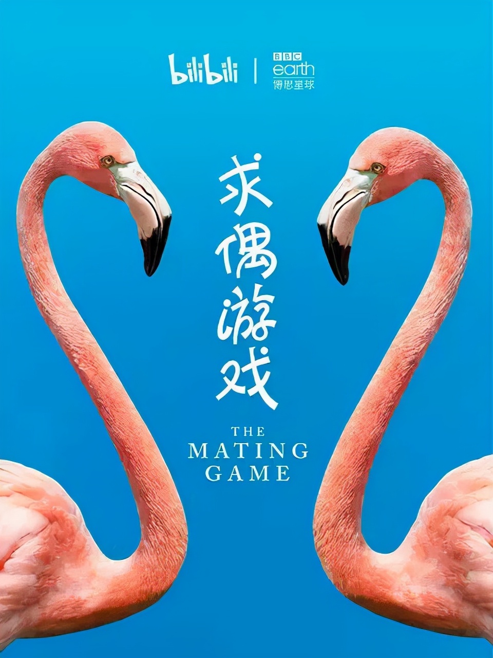 9.9恋爱游戏,9.9分恋爱番