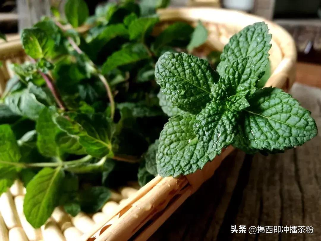 被蚊子咬了但是没有风油精怎么办,被蚊子咬了又没有药怎么办