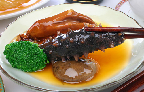 海参滋补效果好,海参燕窝鱼翅人参