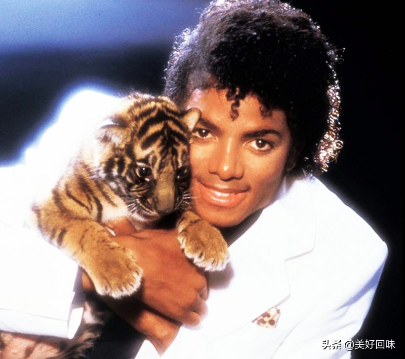 迈克尔杰克逊财富排名,迈克尔杰克逊全球最具影响力人物