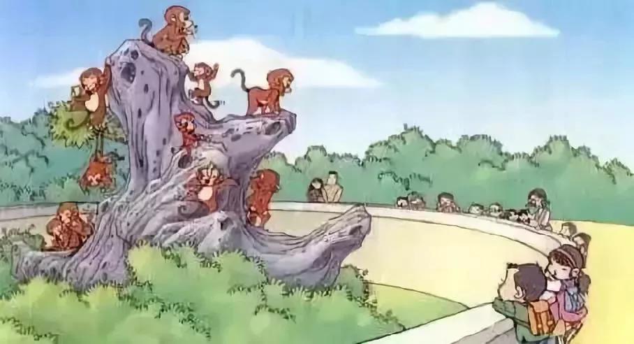 一二年级常考看图写话16篇含答案,一二年级看图写话常用词句式总结