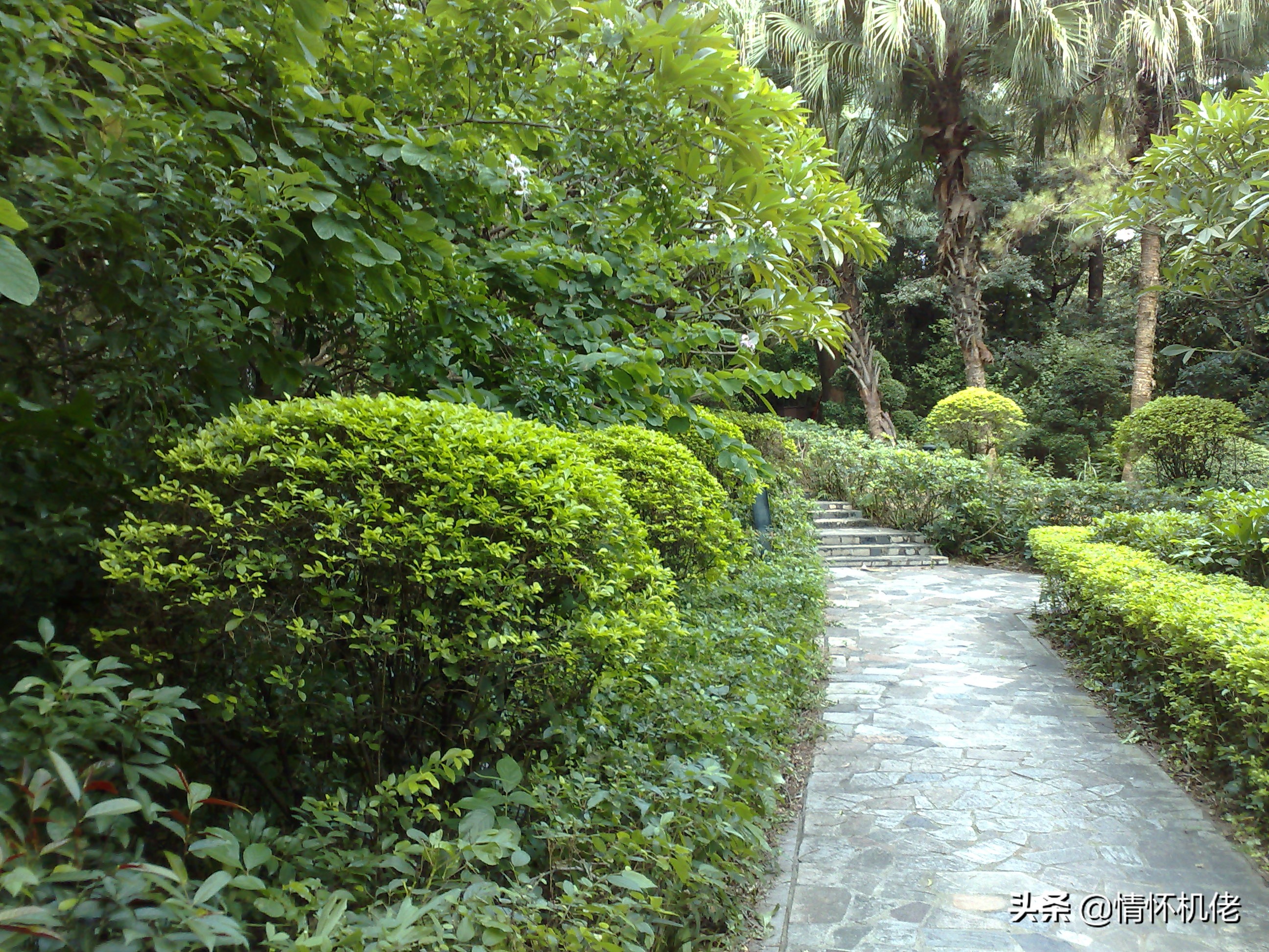 诺基亚n95当年曾经的辉煌,诺基亚n95远古视频