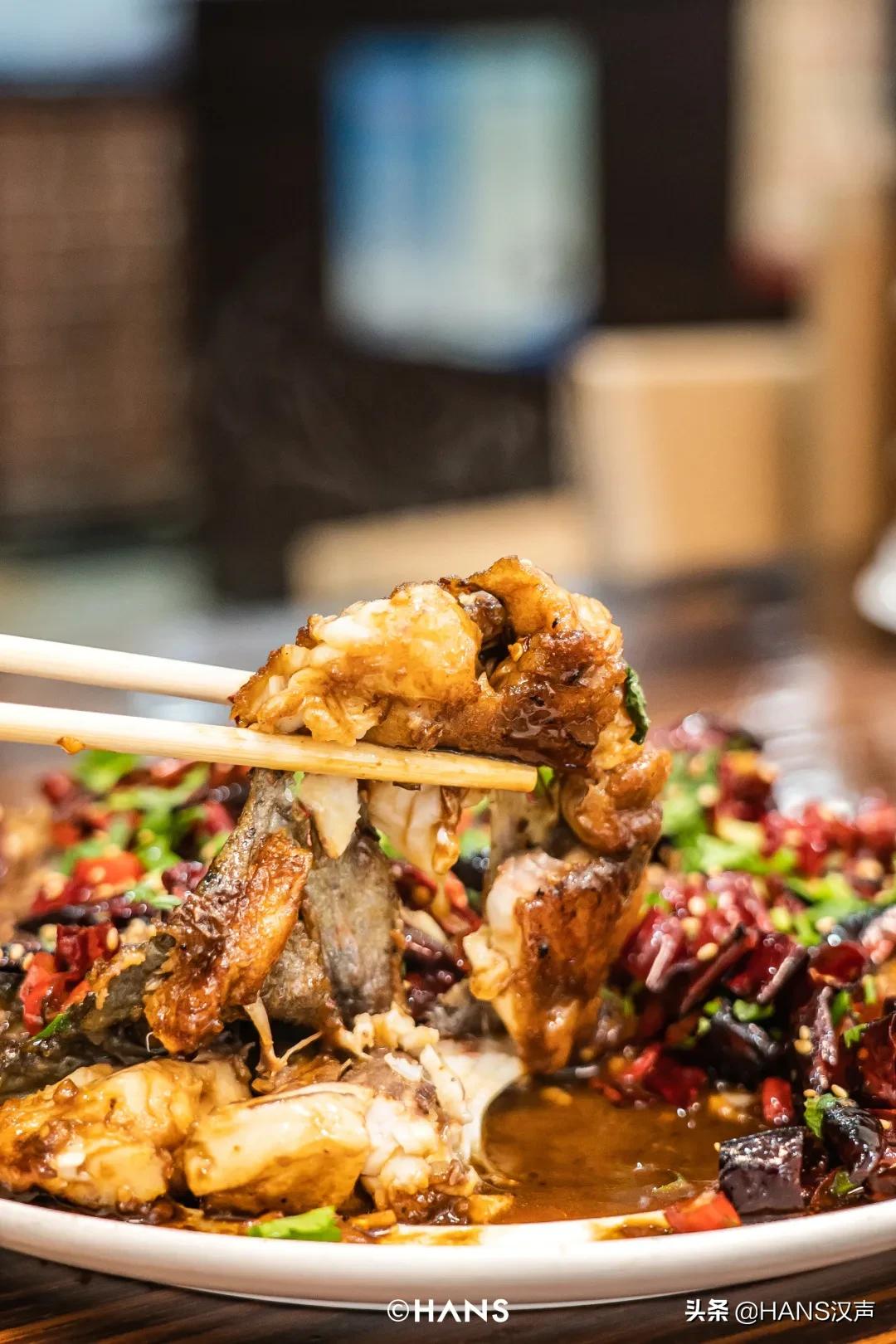 天元邓刚钓鱼属于什么水平,天元邓刚钓鱼最新视频现场