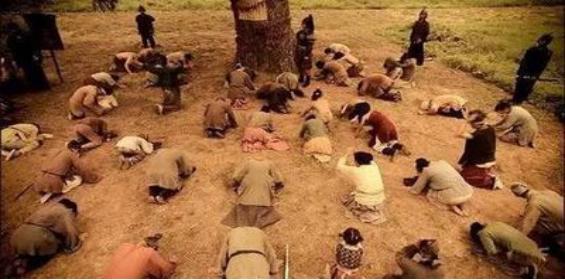 国槐文化寓意,国槐象征的文化