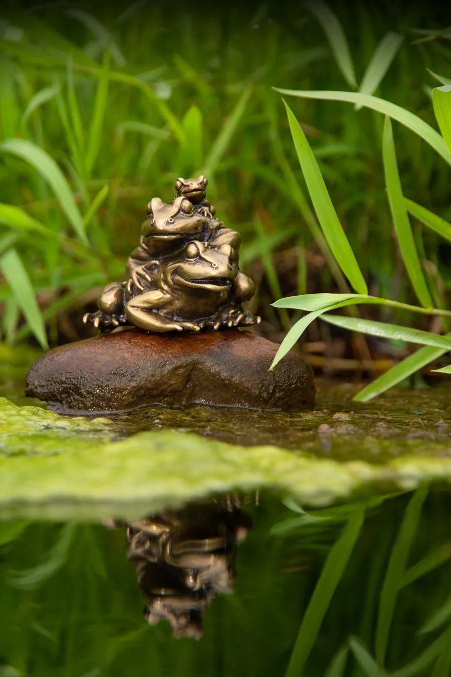茶宠：席间清供，玩物养志