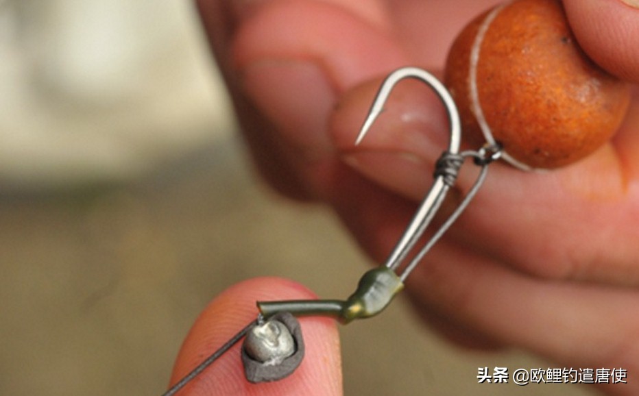 欧鲤钓钓组篇,欧鲤钓组和飞德钓组