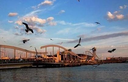 瑞士留学的优点和缺点,瑞士留学的缺点