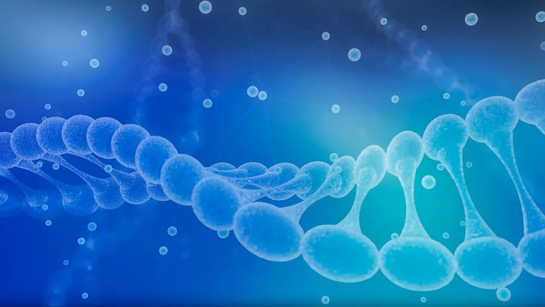 使用胸腺肽类制剂增强免疫力,使用免疫制剂能降低人的免疫力吗