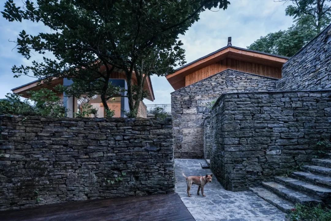 武大师兄弟复活湘西秘境，1块钱就能入股