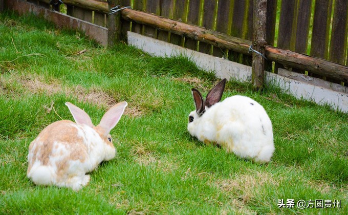 这个夏日，看这个美女如何在浙江乌村的第一百种玩法