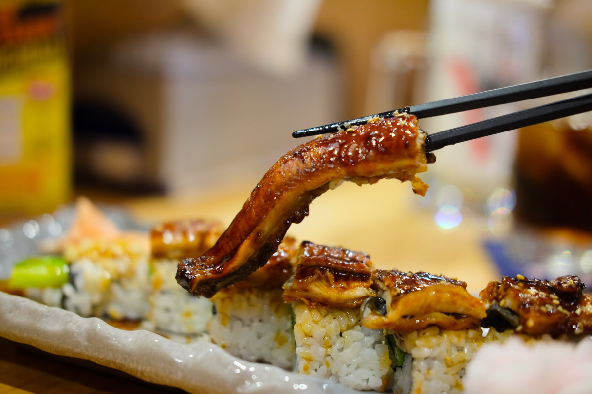 超级好吃的鳗鱼你们喜欢吃吗,最好吃的10种鳗鱼