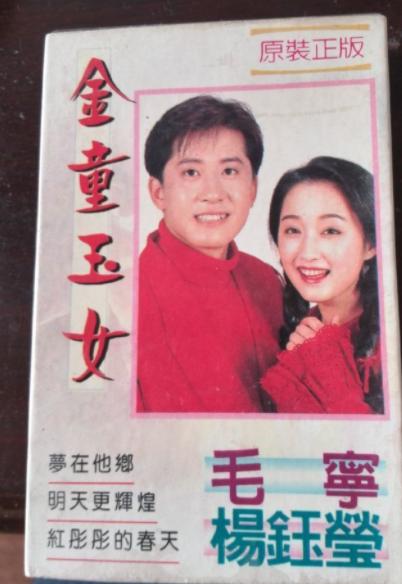 杨钰莹八卦故事,杨钰莹的故事简介