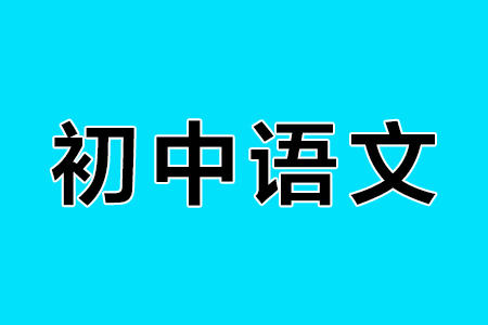 初中语文语病修改技巧,初中语文病句十大类型归纳